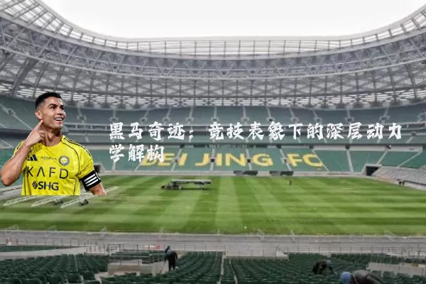 黑马奇迹：竞技表象下的深层动力学解构